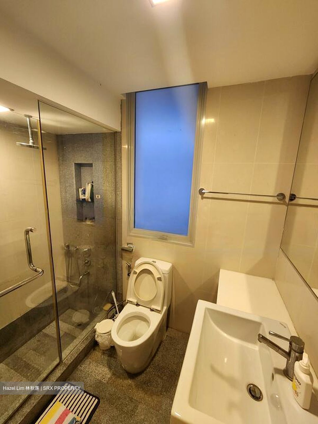 8 @ Mount Sophia (D9), Condominium #454110741